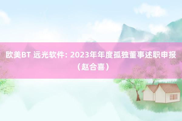 欧美BT 远光软件: 2023年年度孤独董事述职申报(赵合喜)