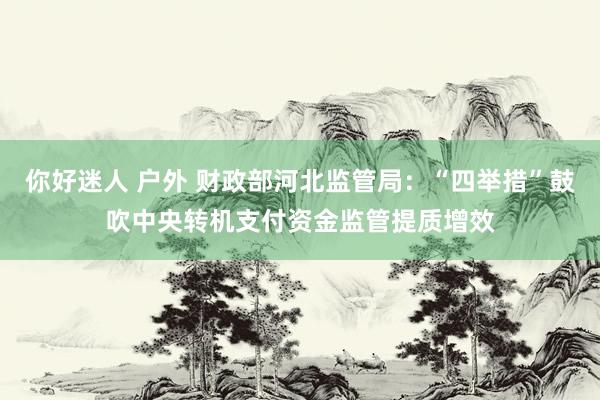 你好迷人 户外 财政部河北监管局：“四举措”鼓吹中央转机支付资金监管提质增效