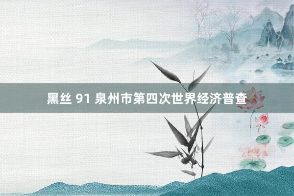 黑丝 91 泉州市第四次世界经济普查
