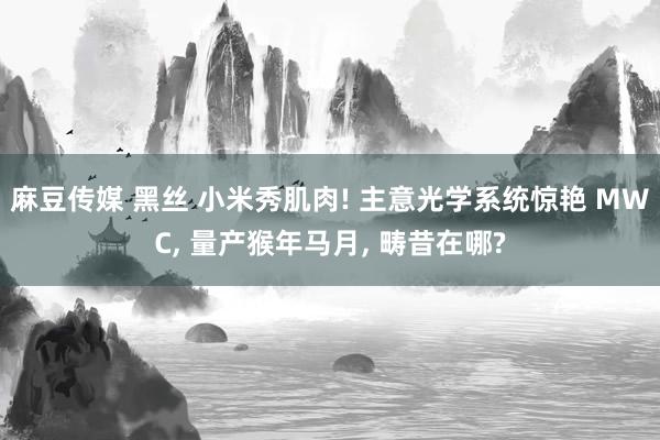 麻豆传媒 黑丝 小米秀肌肉! 主意光学系统惊艳 MWC， 量产猴年马月， 畴昔在哪?