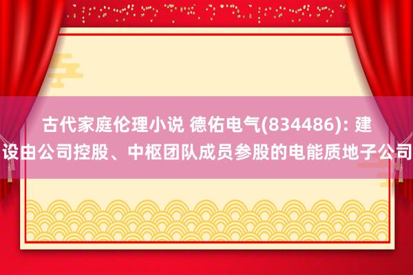 古代家庭伦理小说 德佑电气(834486): 建设由公司控股、中枢团队成员参股的电能质地子公司