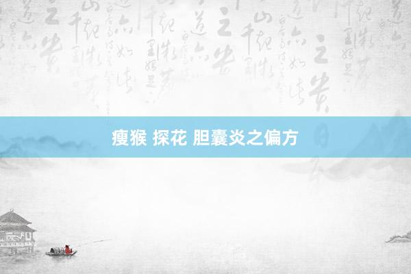 瘦猴 探花 胆囊炎之偏方